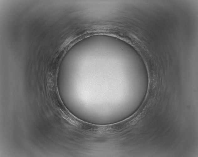X0000052551449200507010832