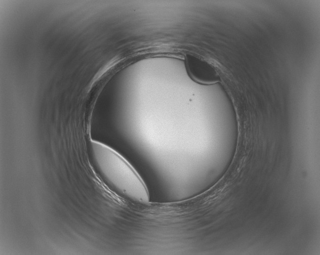 X0000052551450200507010832