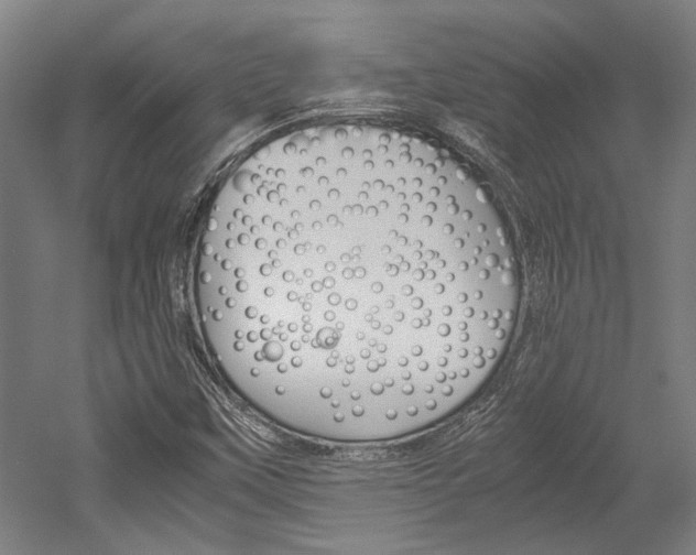 X0000052551451200507010832