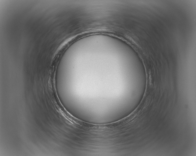 X0000052551452200507010832