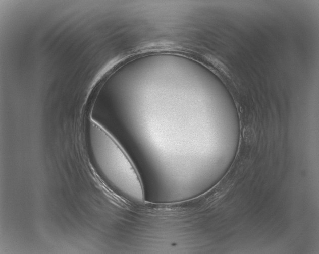 X0000052551458200507010832