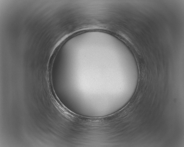 X0000052551460200507010832