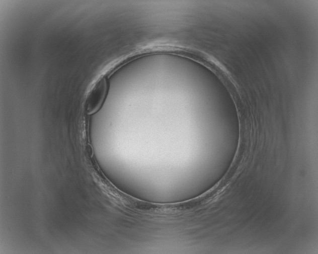 X0000052551461200507010832