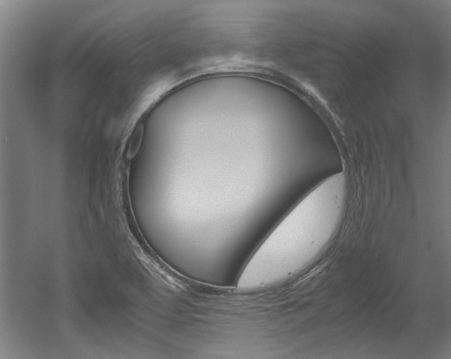 X0000052551463200507010832