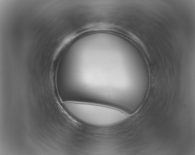 X0000052551464200507010832