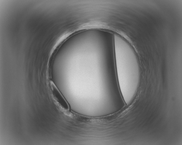 X0000052551469200507010832