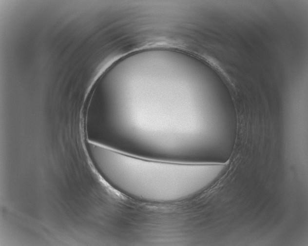 X0000052551476200507010832