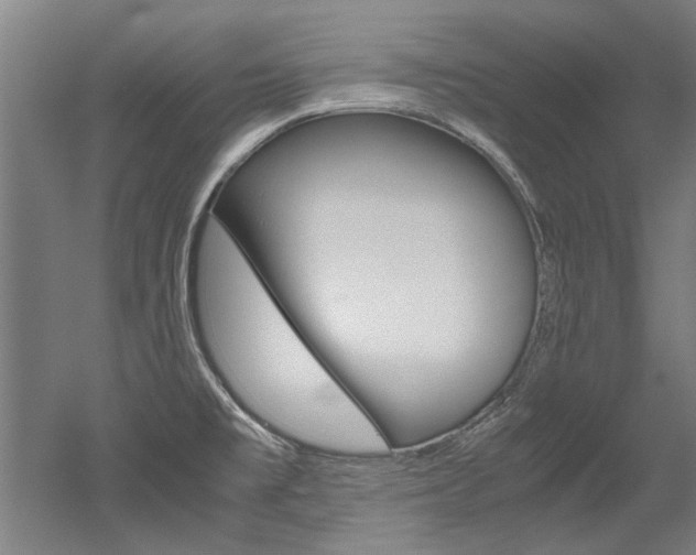 X0000052551477200507010832