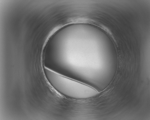 X0000052551480200507010832