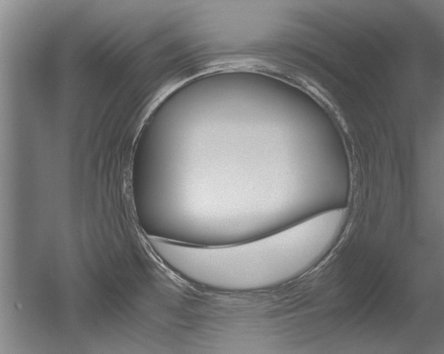 X0000052551481200507010832