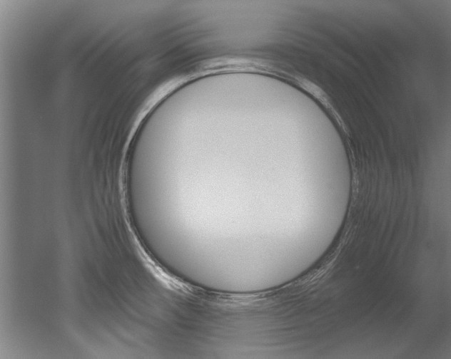 X0000052551482200507010832