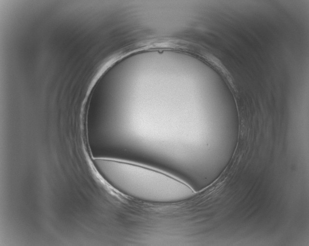 X0000052551483200507010832