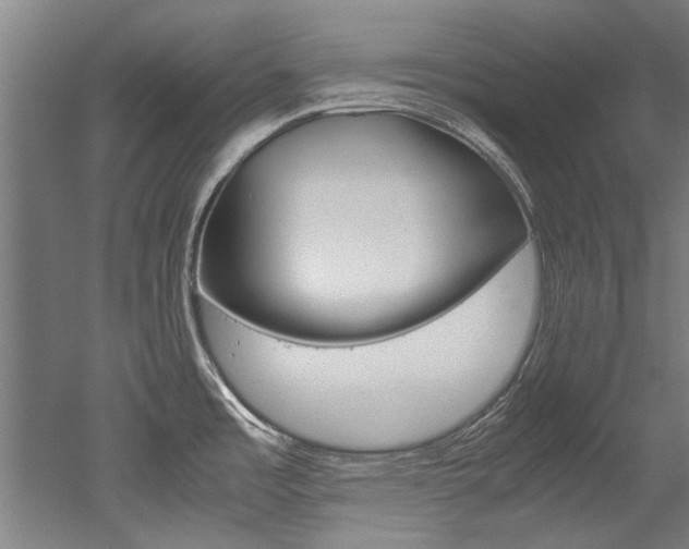 X0000052551485200507010832