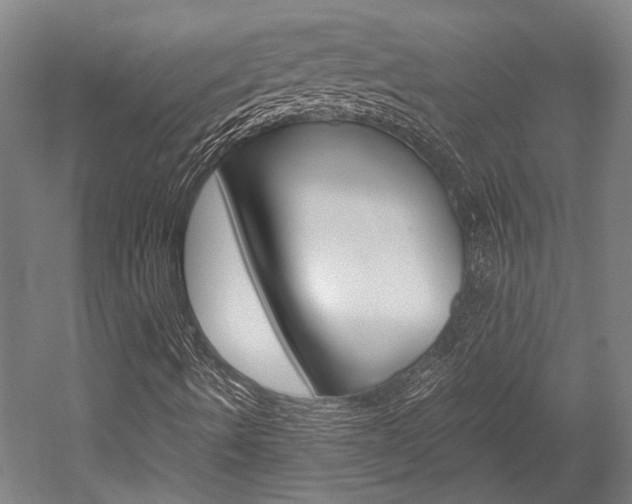 X0000052551490200507010831