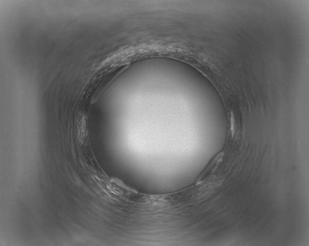 X0000052551492200507010831