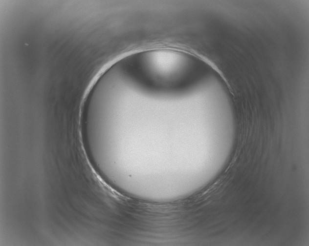 X0000052551508200507010831