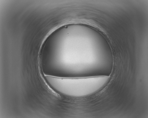 X0000052551517200507010831