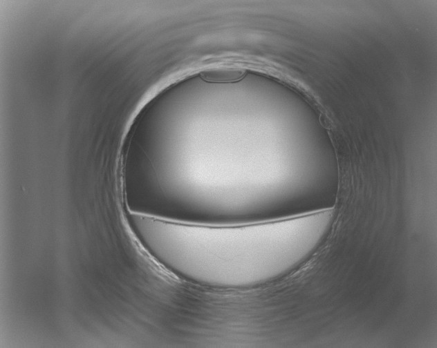 X0000052551522200507010832