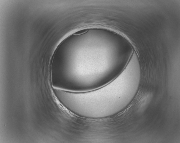 X0000052551534200507010832