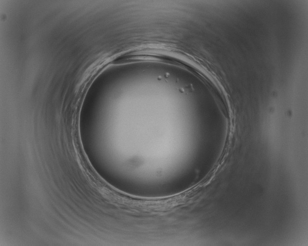 X0000052550001200507011142