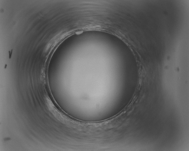 X0000052550002200507011142