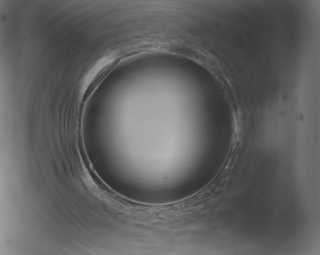 X0000052550003200507011142