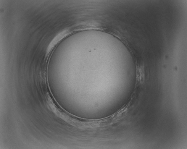 X0000052550004200507011142