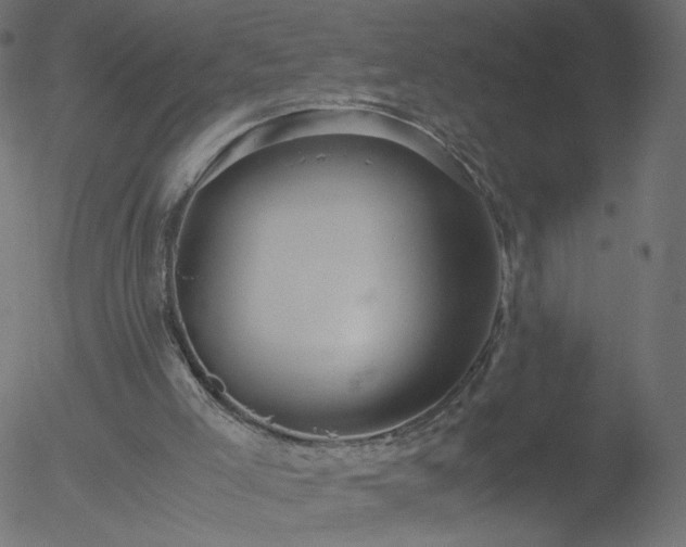 X0000052550005200507011142