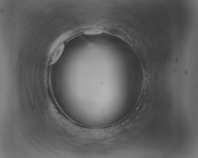 X0000052550006200507011142