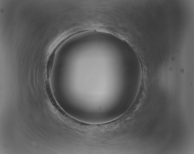 X0000052550007200507011142