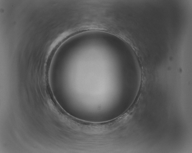 X0000052550008200507011142