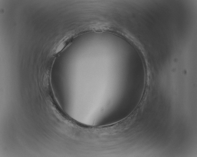 X0000052550009200507011142