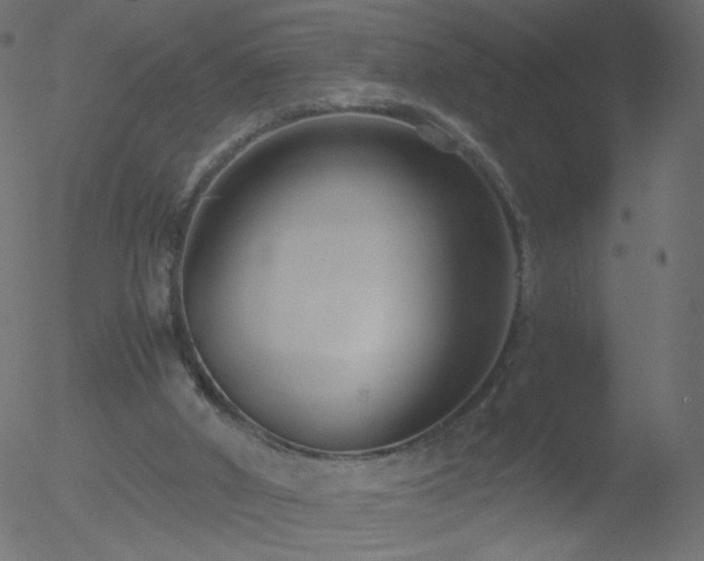 X0000052550010200507011142