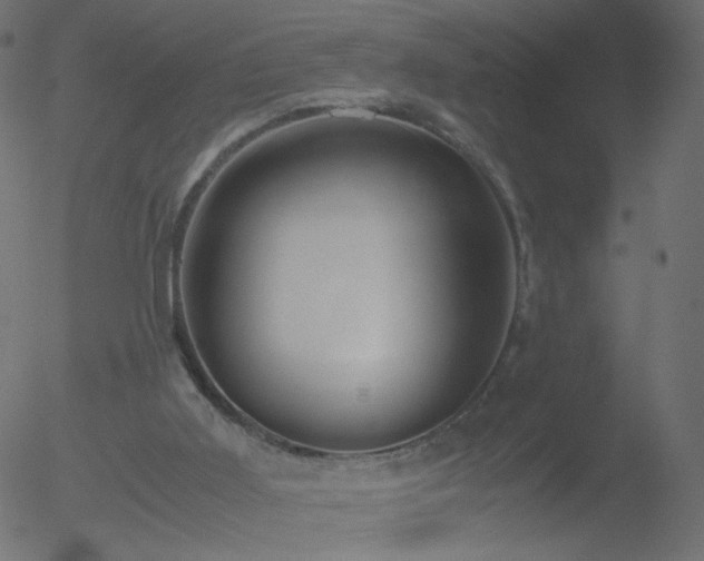 X0000052550011200507011142