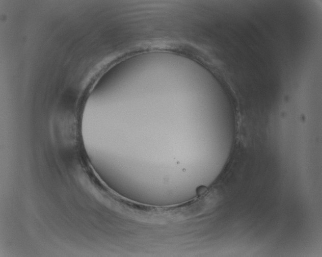 X0000052550012200507011142