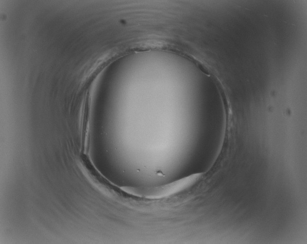 X0000052550013200507011142