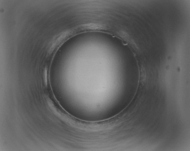 X0000052550014200507011142