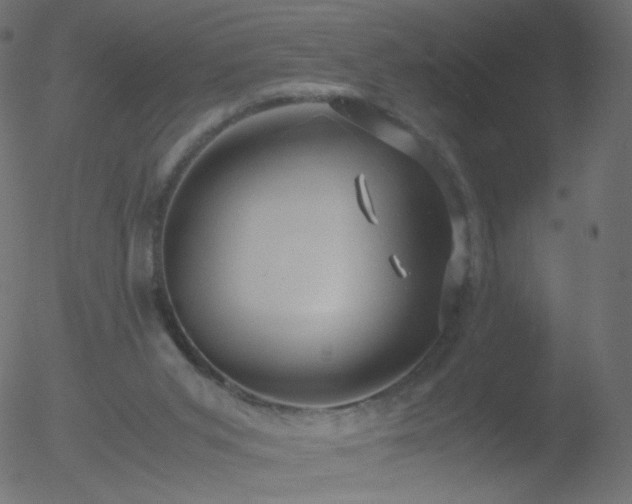 X0000052550015200507011142