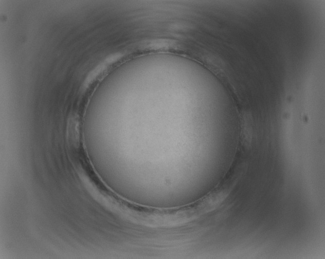 X0000052550016200507011142