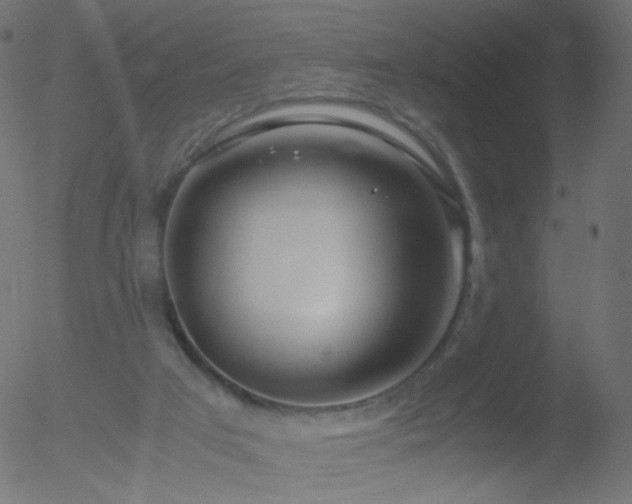 X0000052550017200507011142