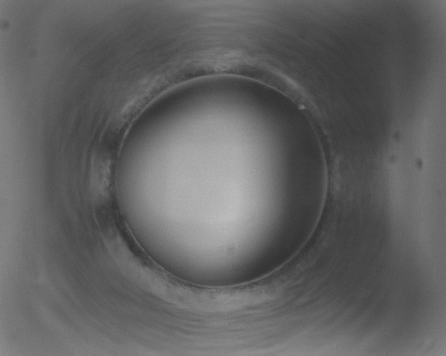 X0000052550018200507011142