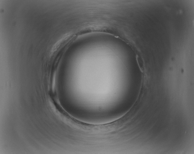 X0000052550019200507011142