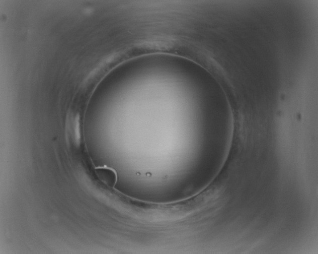 X0000052550020200507011142