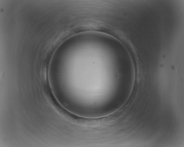 X0000052550021200507011142