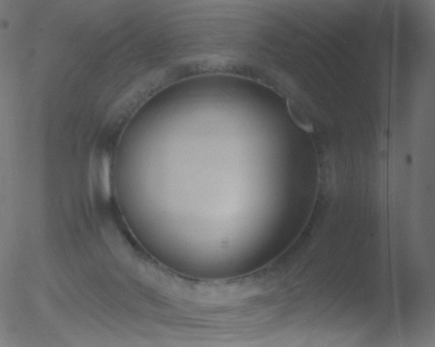 X0000052550022200507011142