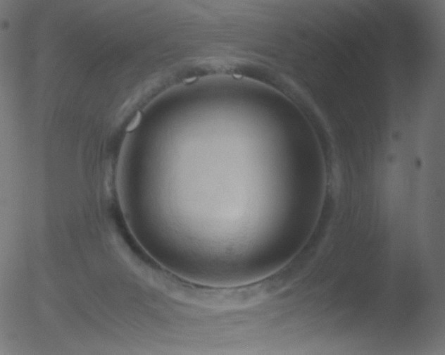 X0000052550023200507011142