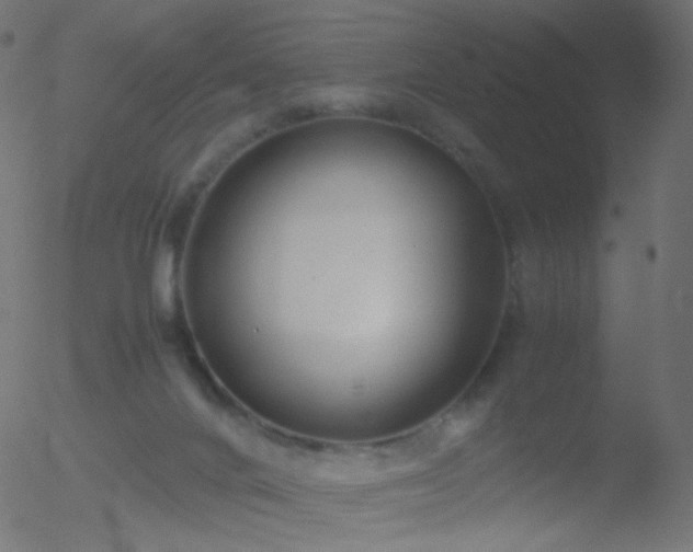 X0000052550024200507011142