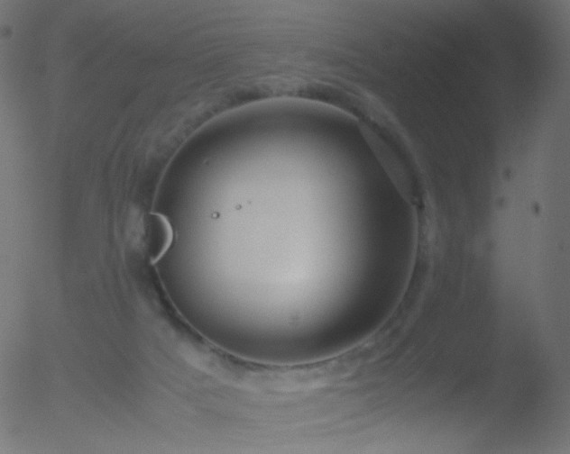 X0000052550025200507011142