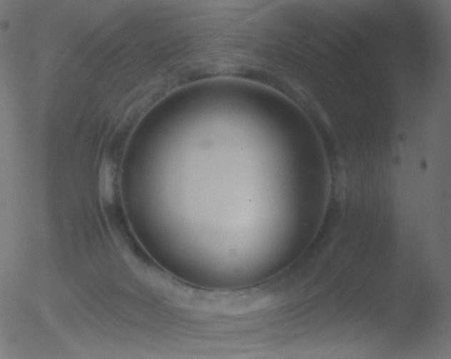 X0000052550026200507011141