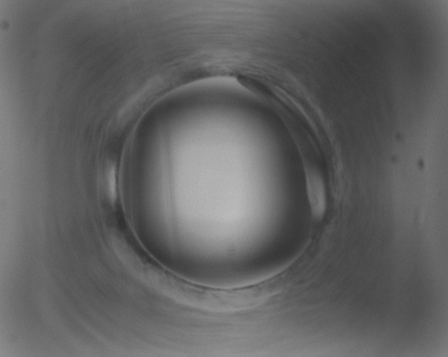 X0000052550027200507011141